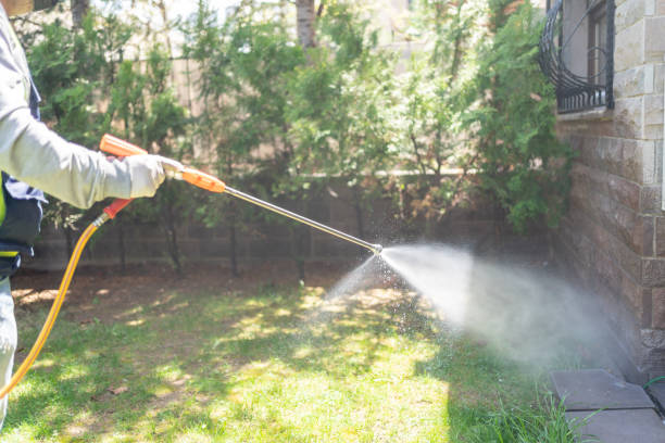 Professional Pest control in Indian Springs Village, AL